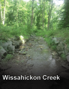 Click Here for a Project Overview!